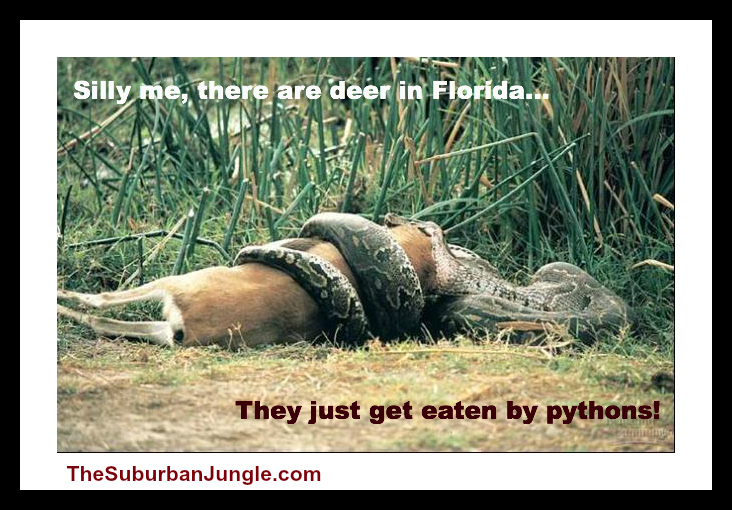 Hilarious post from Jenny from the blog - Only in Florida People, Only in Florida