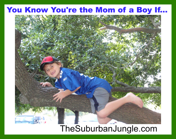 You Know You're the Mom of a Boy IF...