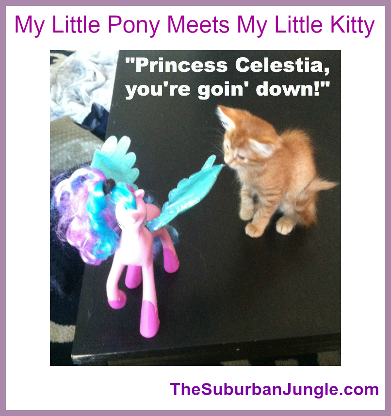 My Little Pony Meets My Little Kitty